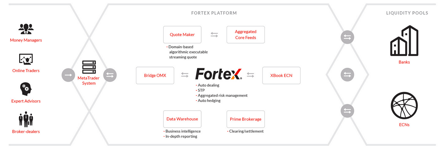 Fortex_Platform