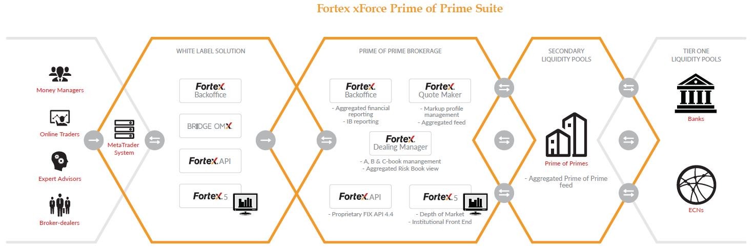 Fortex xForce Prime of Prime Suite